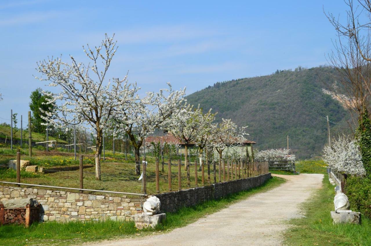 Cascina Valsorda Bed and Breakfast Concesio Buitenkant foto