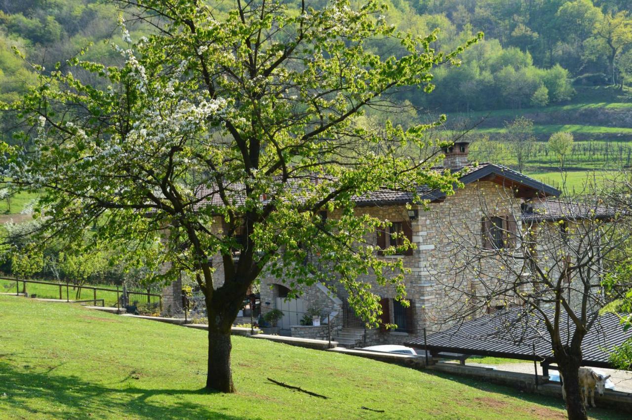 Cascina Valsorda Bed and Breakfast Concesio Buitenkant foto