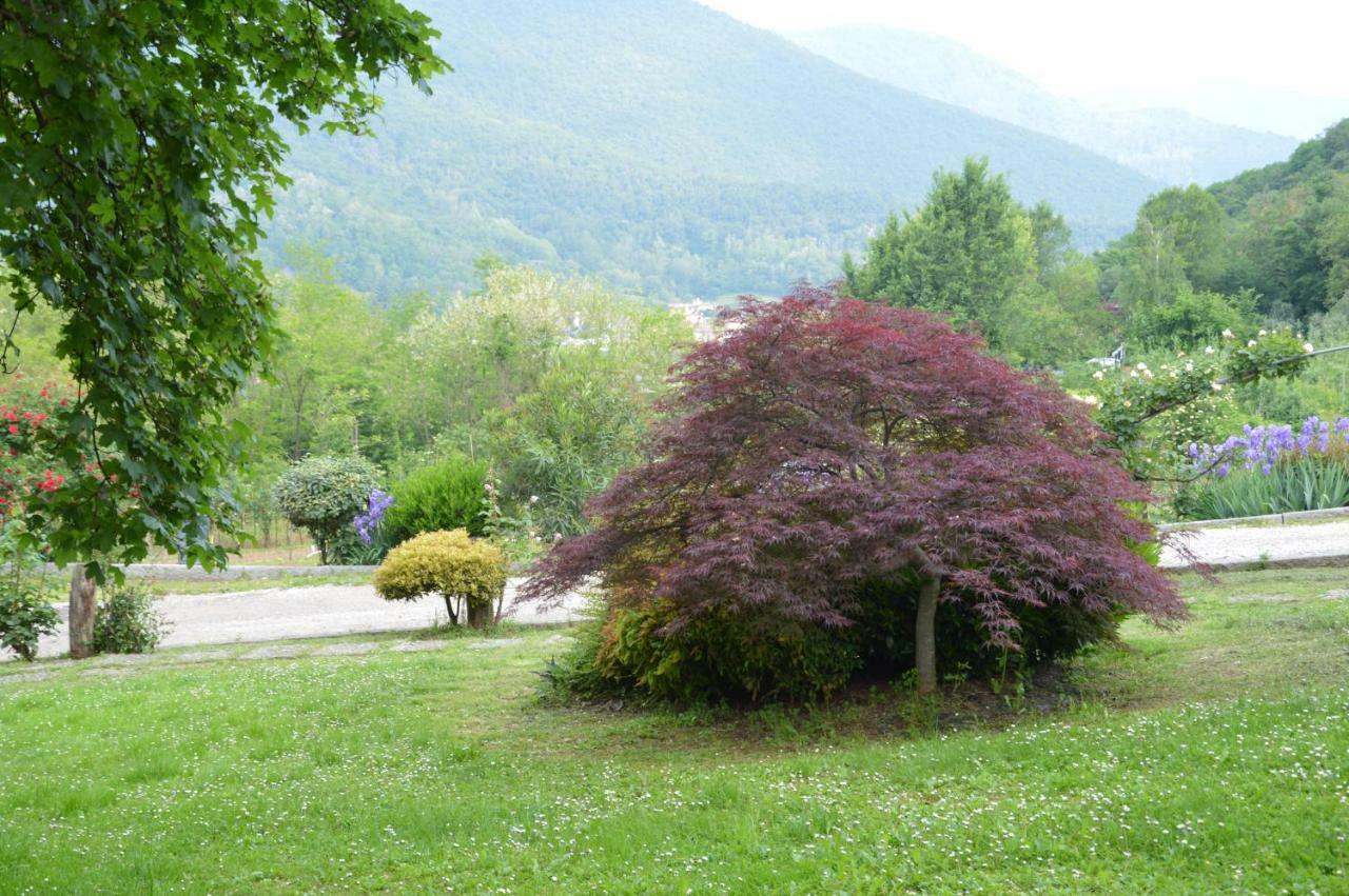 Cascina Valsorda Bed and Breakfast Concesio Buitenkant foto